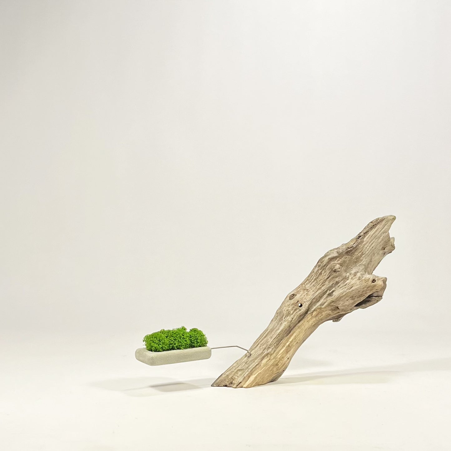 Disequilibrio in Equilibrio