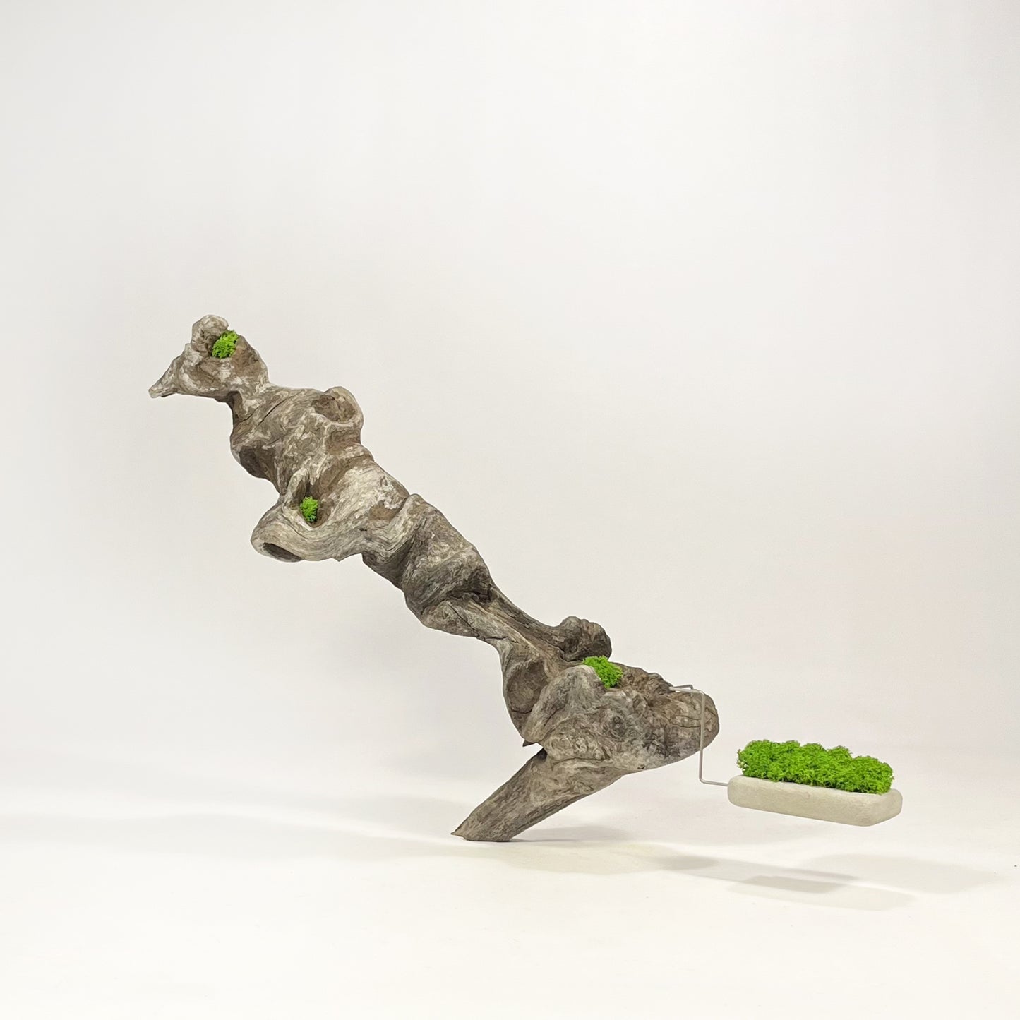 Disequilibrio in Equilibrio