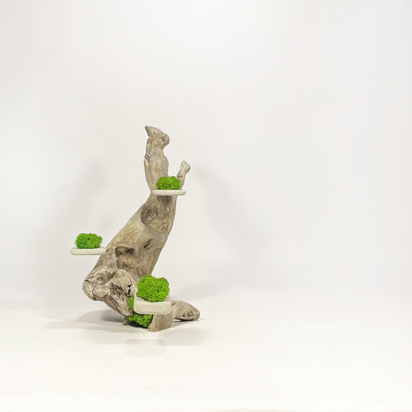 Disequilibrio in Equilibrio