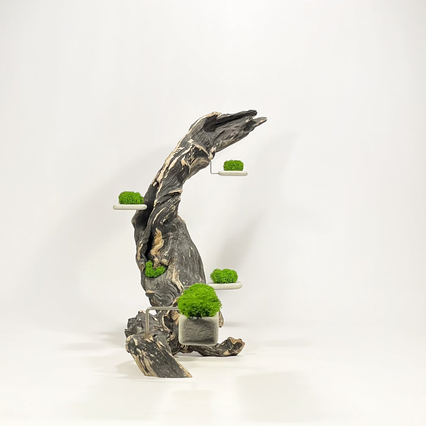 Disequilibrium in Equilibrium