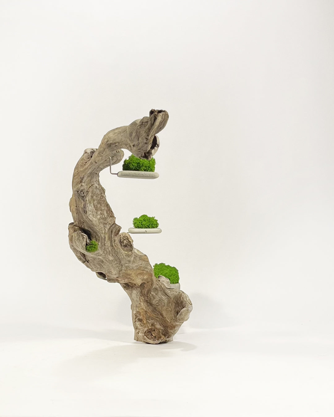 Disequilibrium in Equilibrium