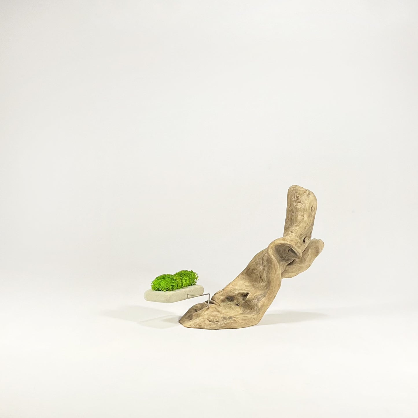 Disequilibrio in Equilibrio
