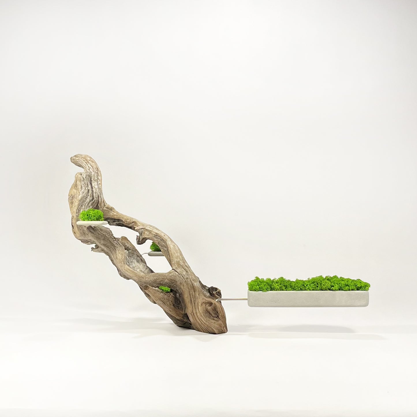Disequilibrio in Equilibrio