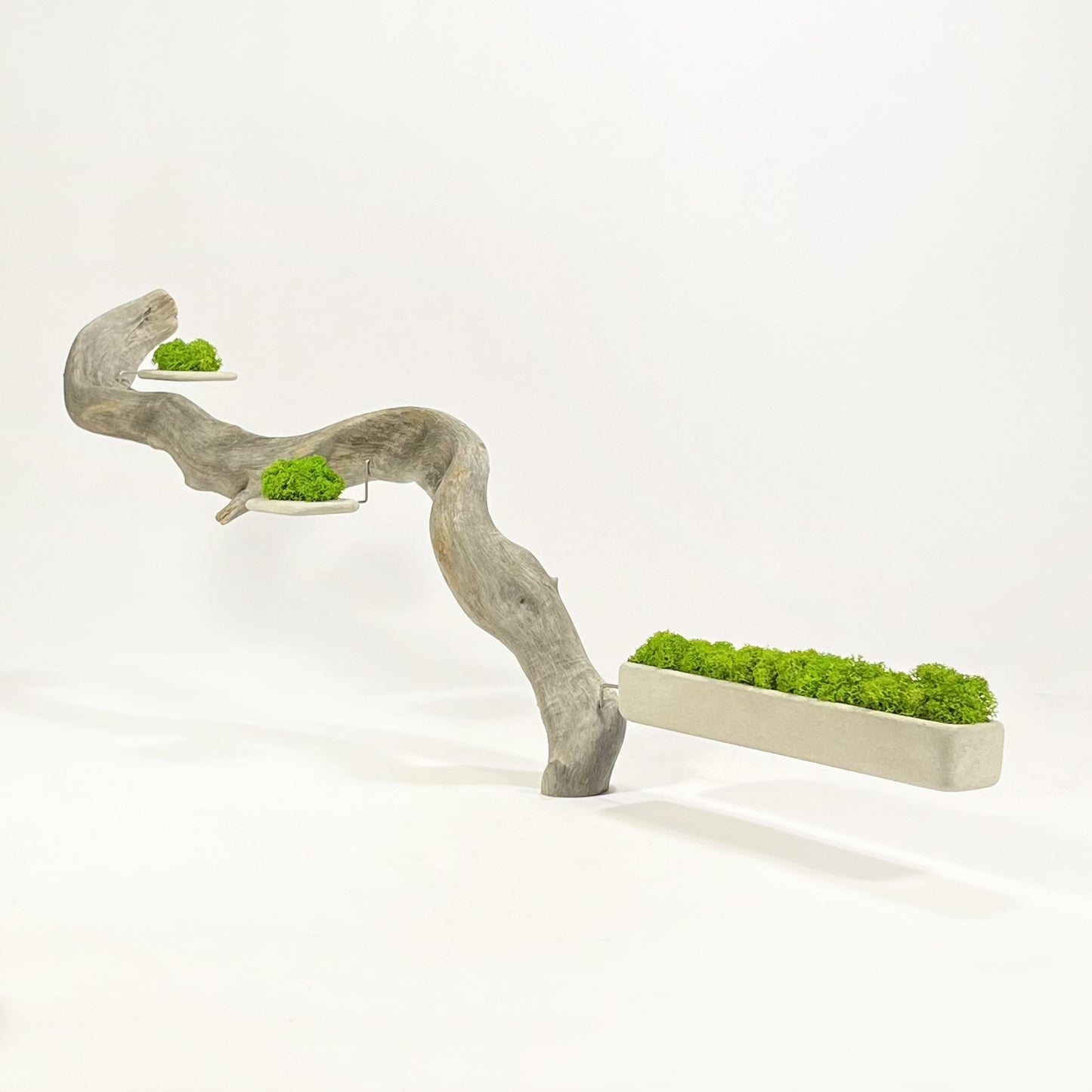 Disequilibrio in Equilibrio