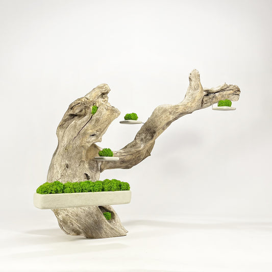 Disequilibrium in Equilibrium