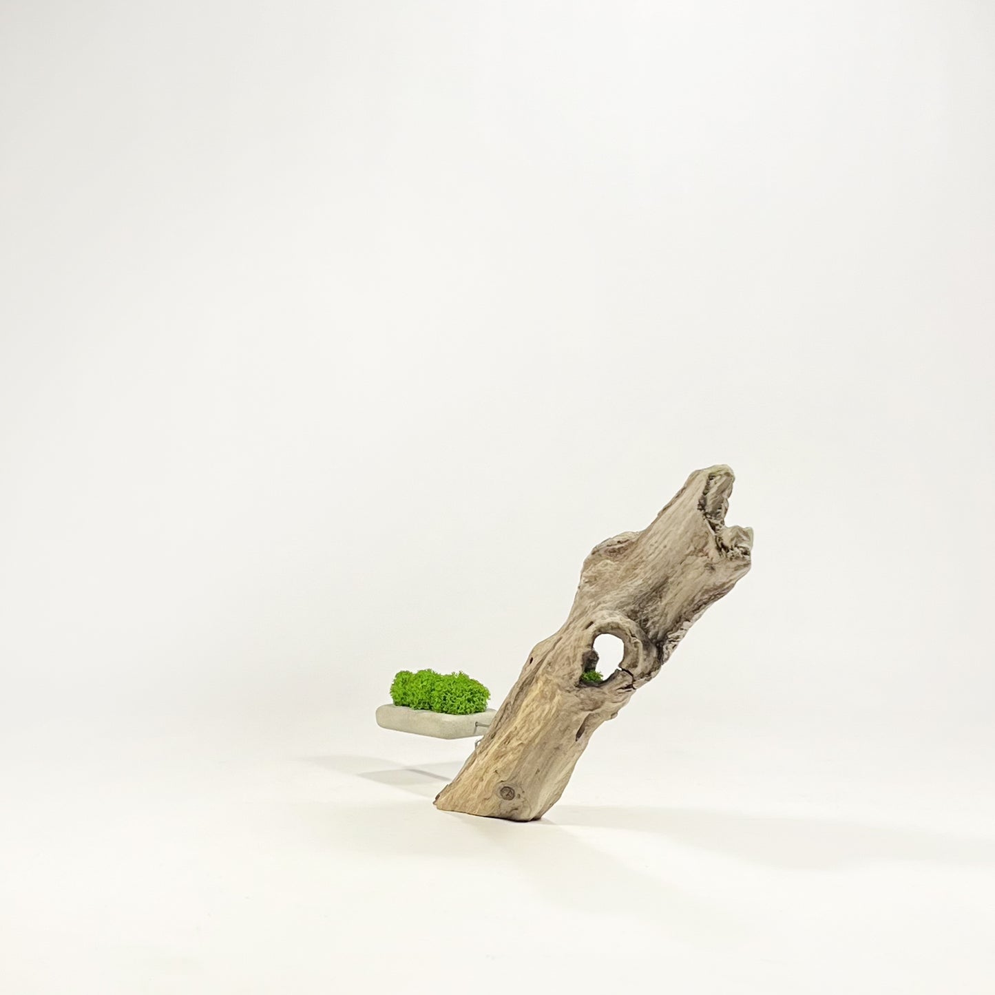 Disequilibrio in Equilibrio