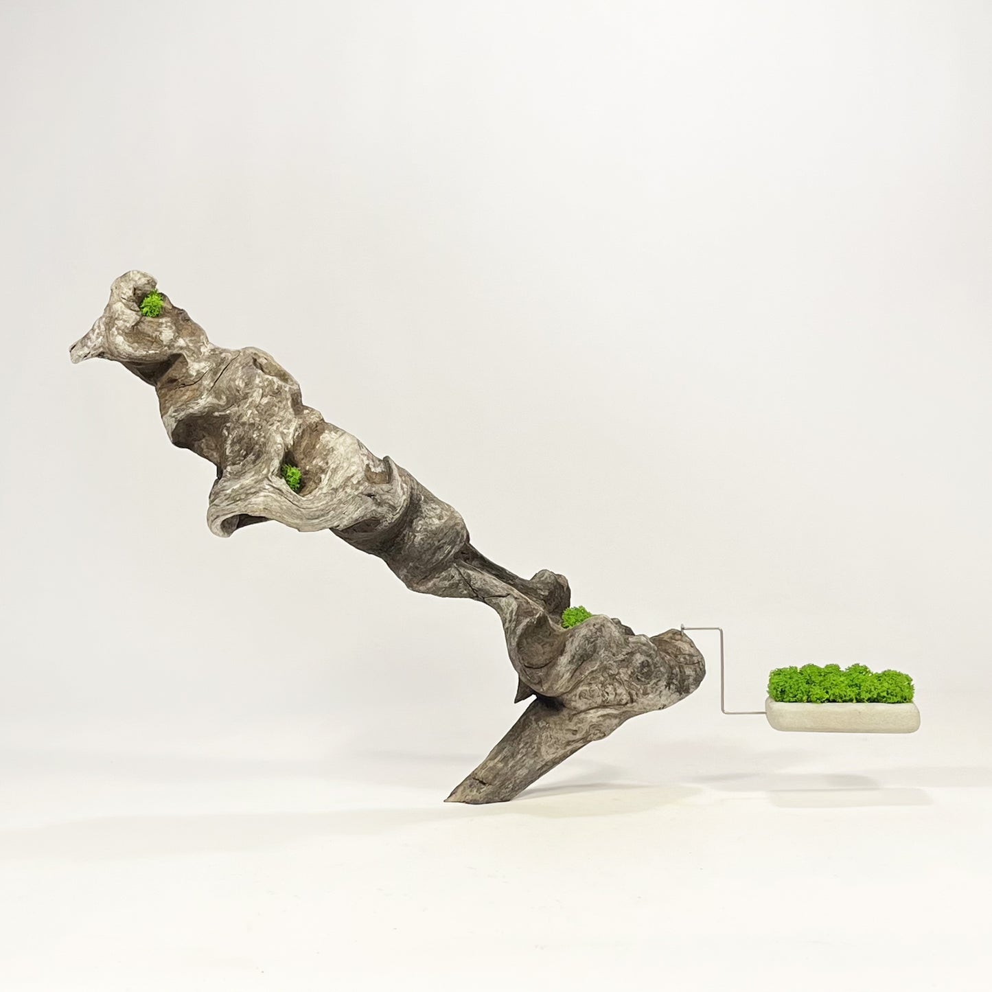 Disequilibrio in Equilibrio