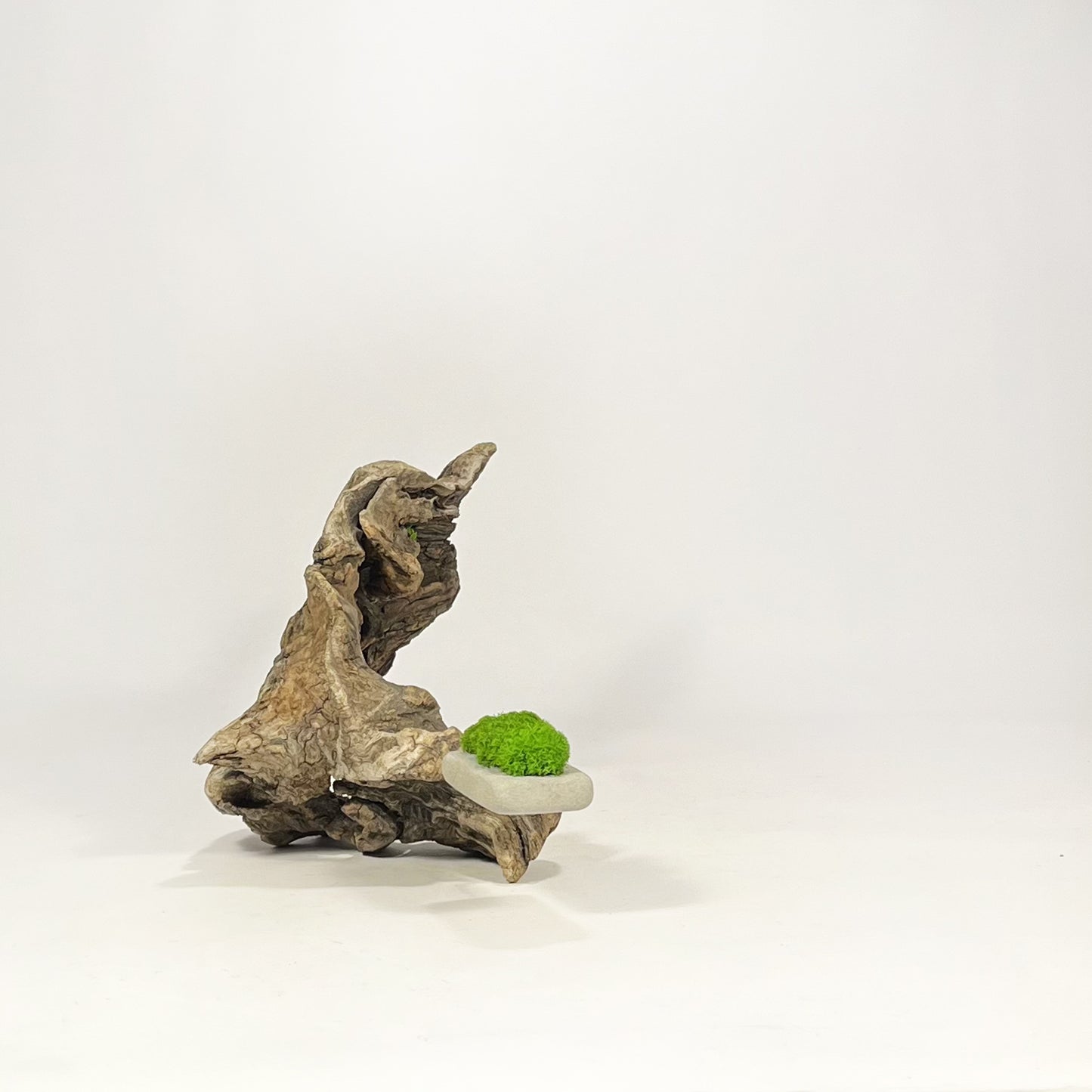 Disequilibrio in Equilibrio