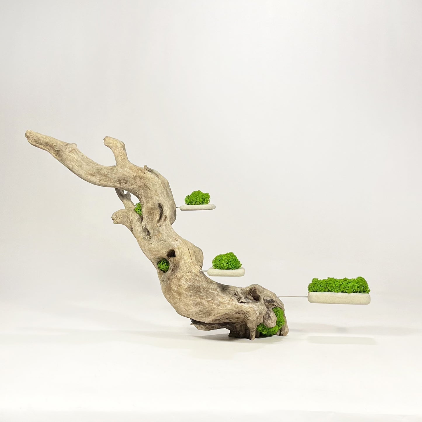 Disequilibrio in Equilibrio
