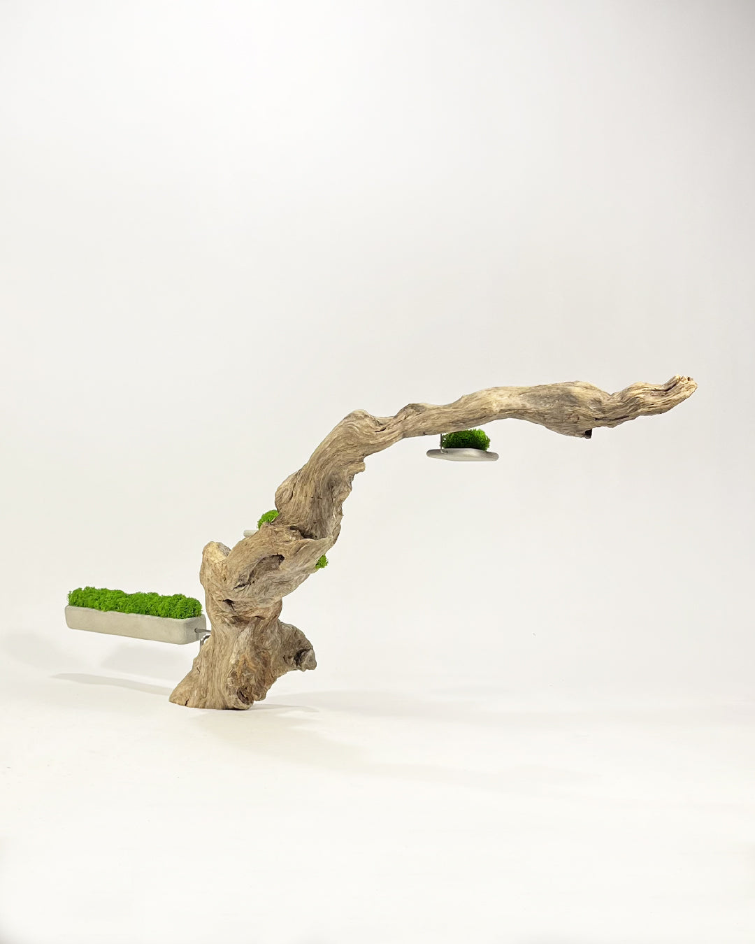 Disequilibrium in Equilibrium