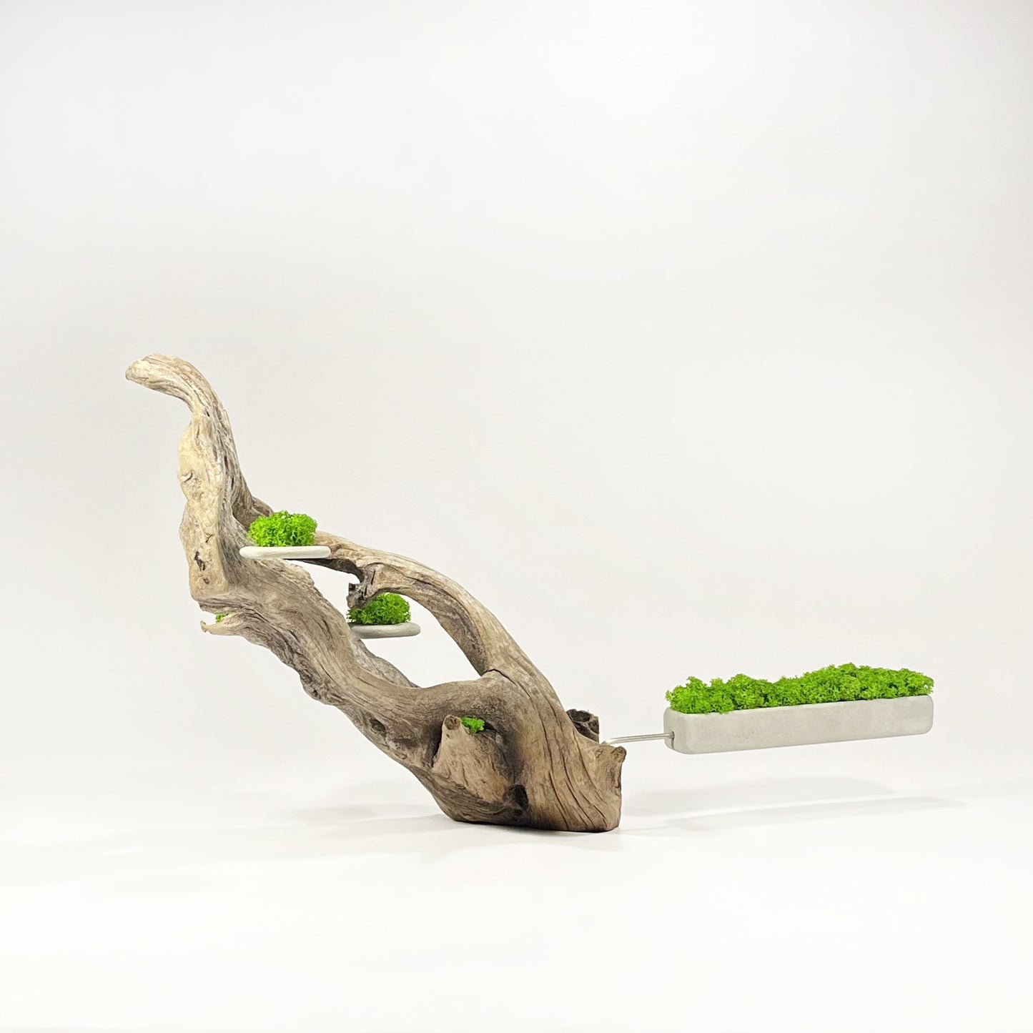 Disequilibrio in Equilibrio