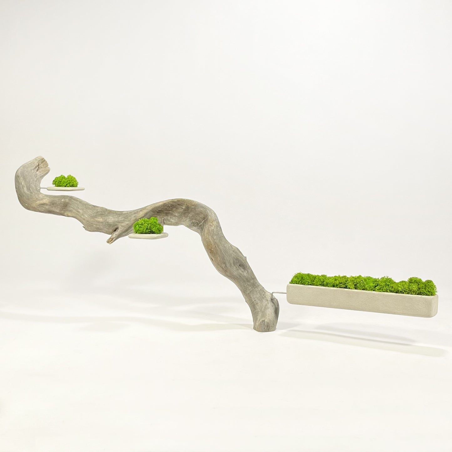 Disequilibrio in Equilibrio