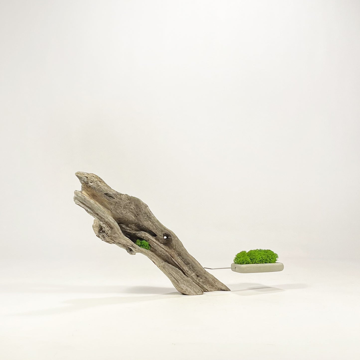 Disequilibrio in Equilibrio