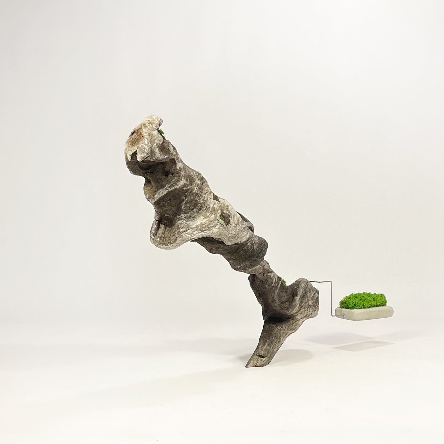 Disequilibrio in Equilibrio