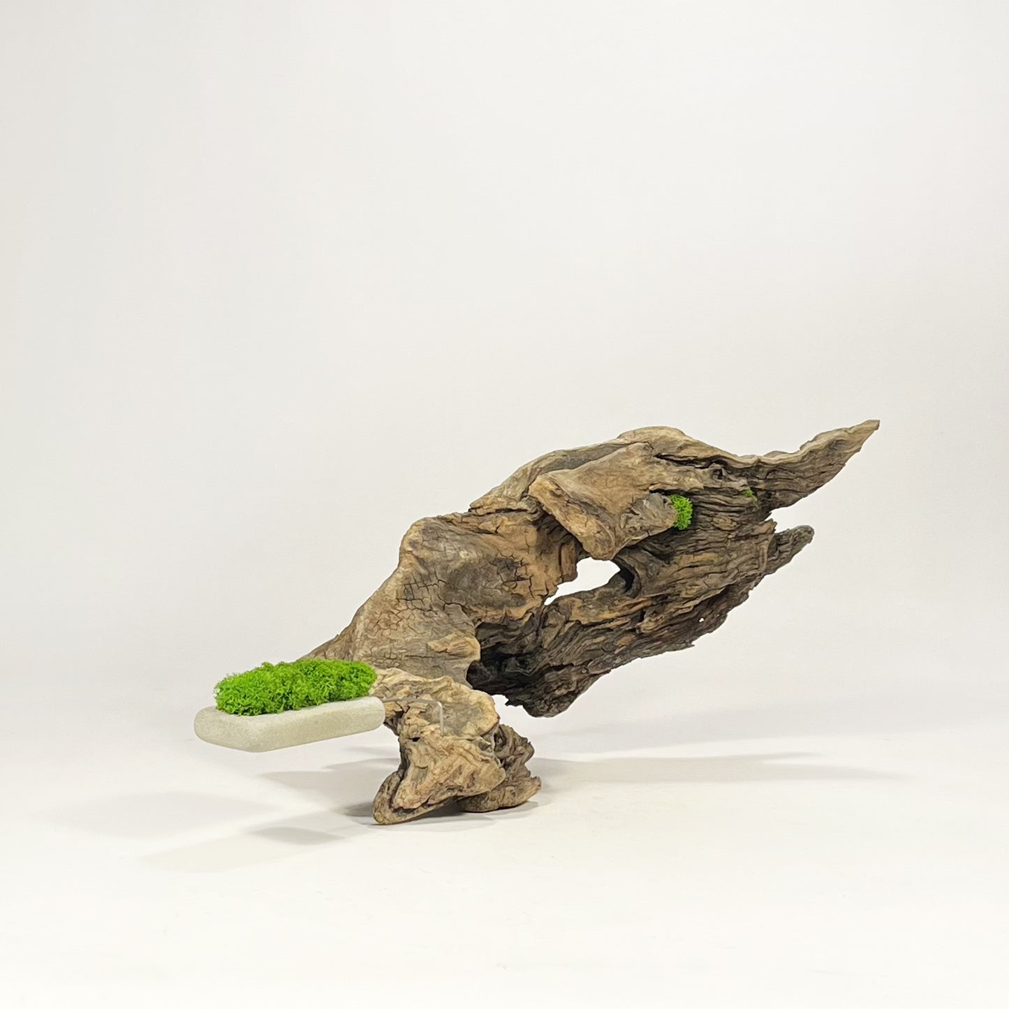Disequilibrio in Equilibrio
