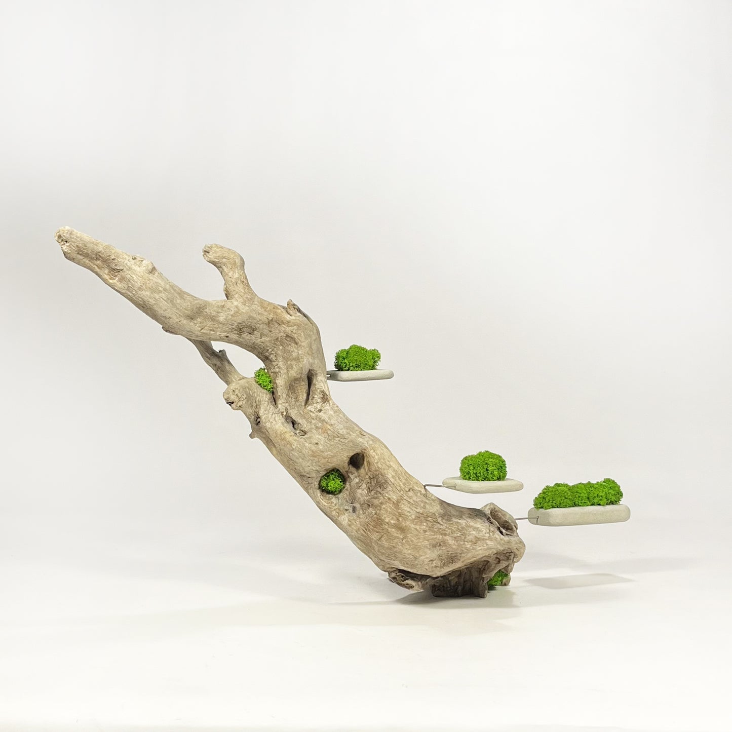 Disequilibrio in Equilibrio