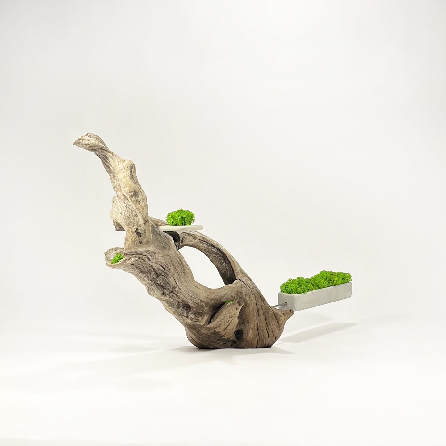 Disequilibrio in Equilibrio