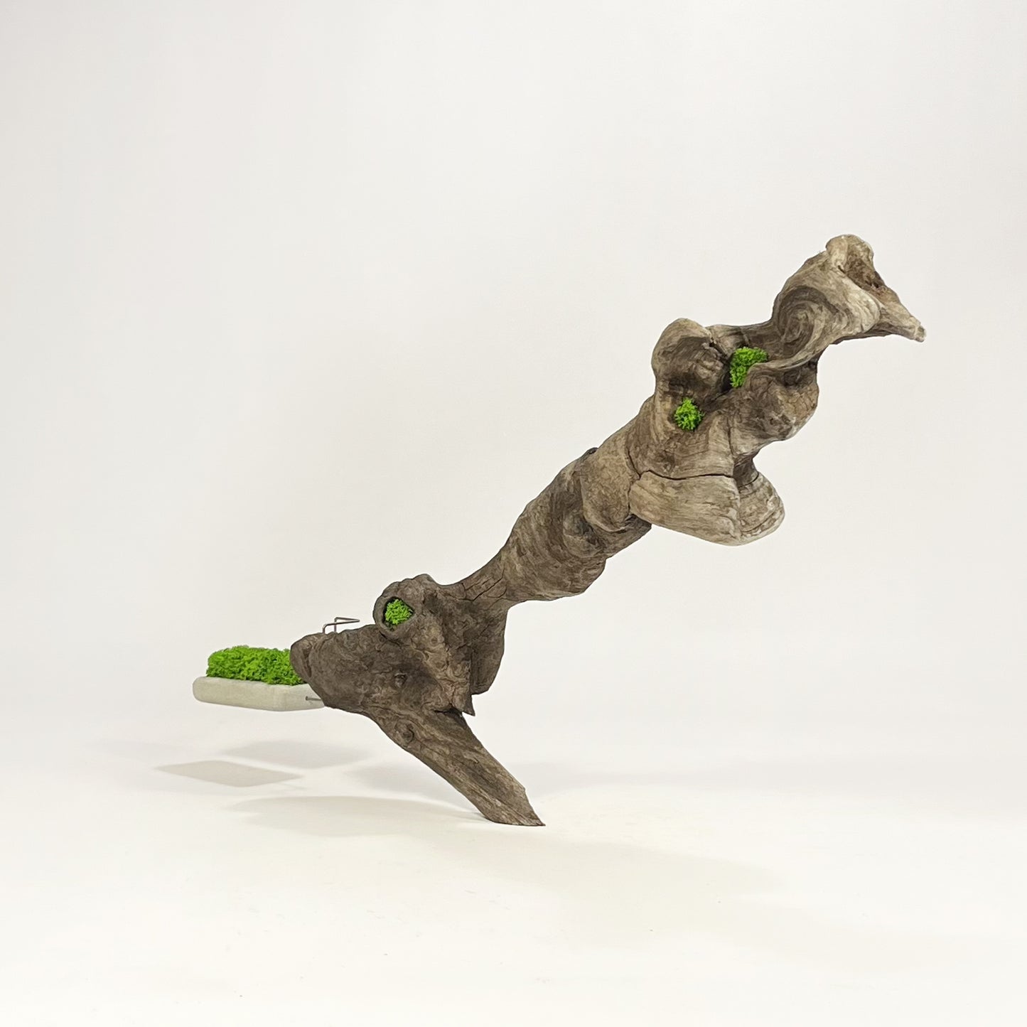 Disequilibrio in Equilibrio