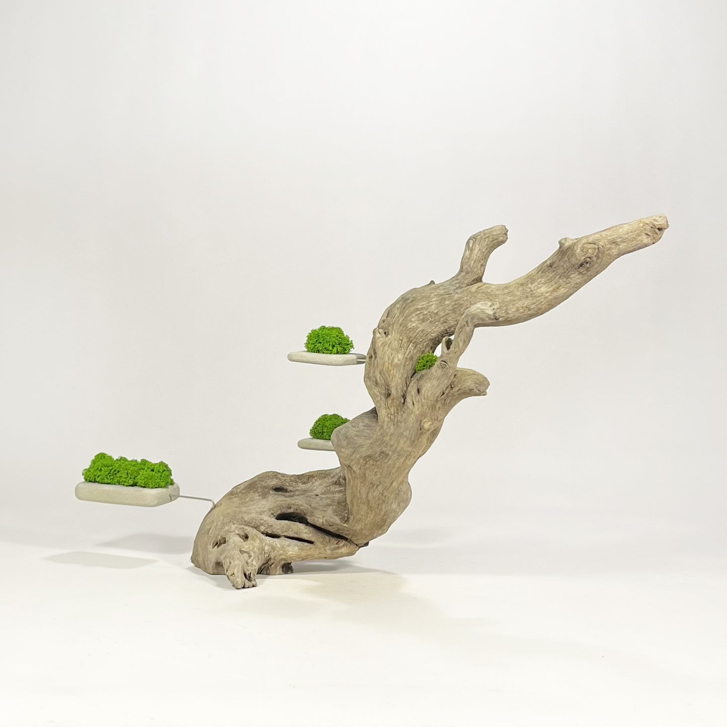 Disequilibrio in Equilibrio