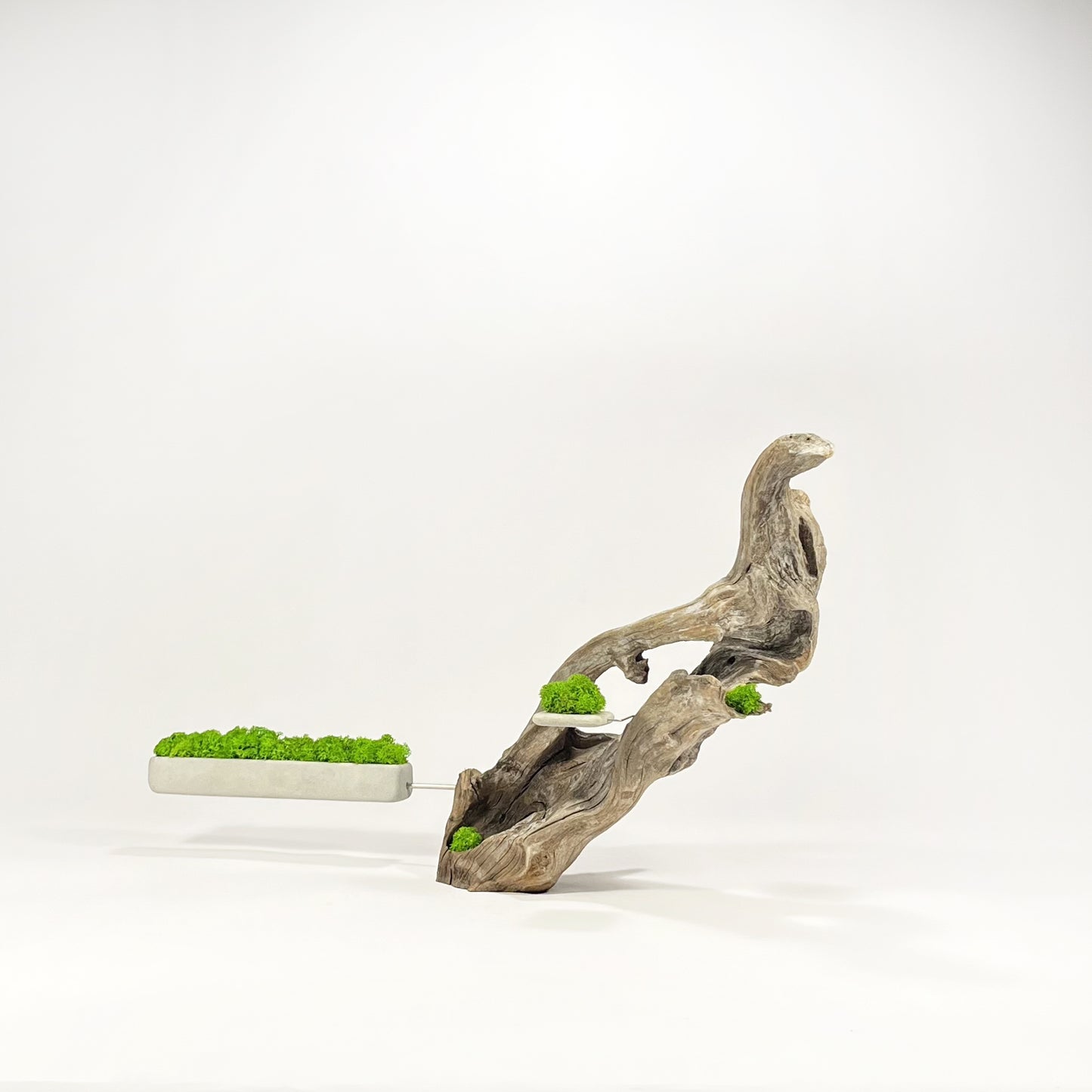Disequilibrio in Equilibrio