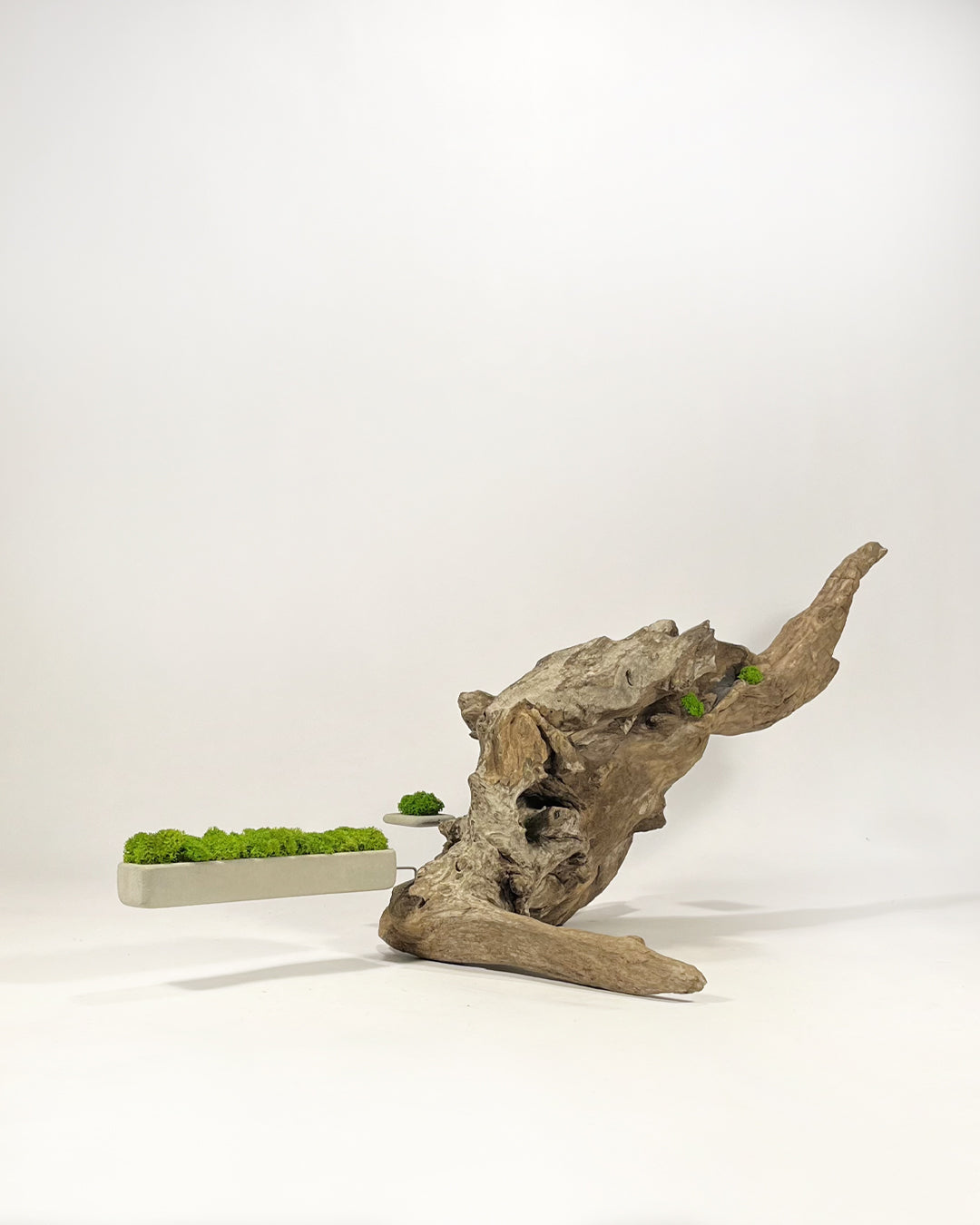 Disequilibrio in Equilibrio