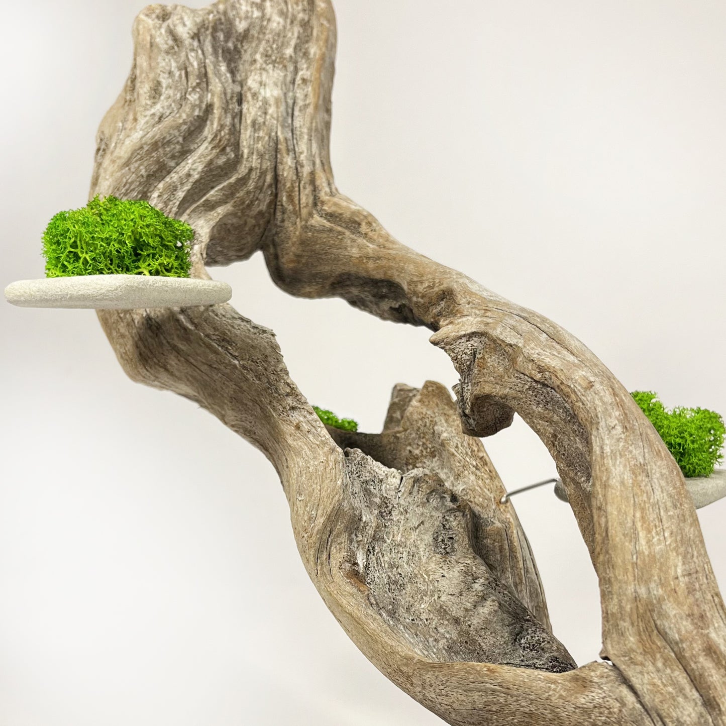 Disequilibrio in Equilibrio