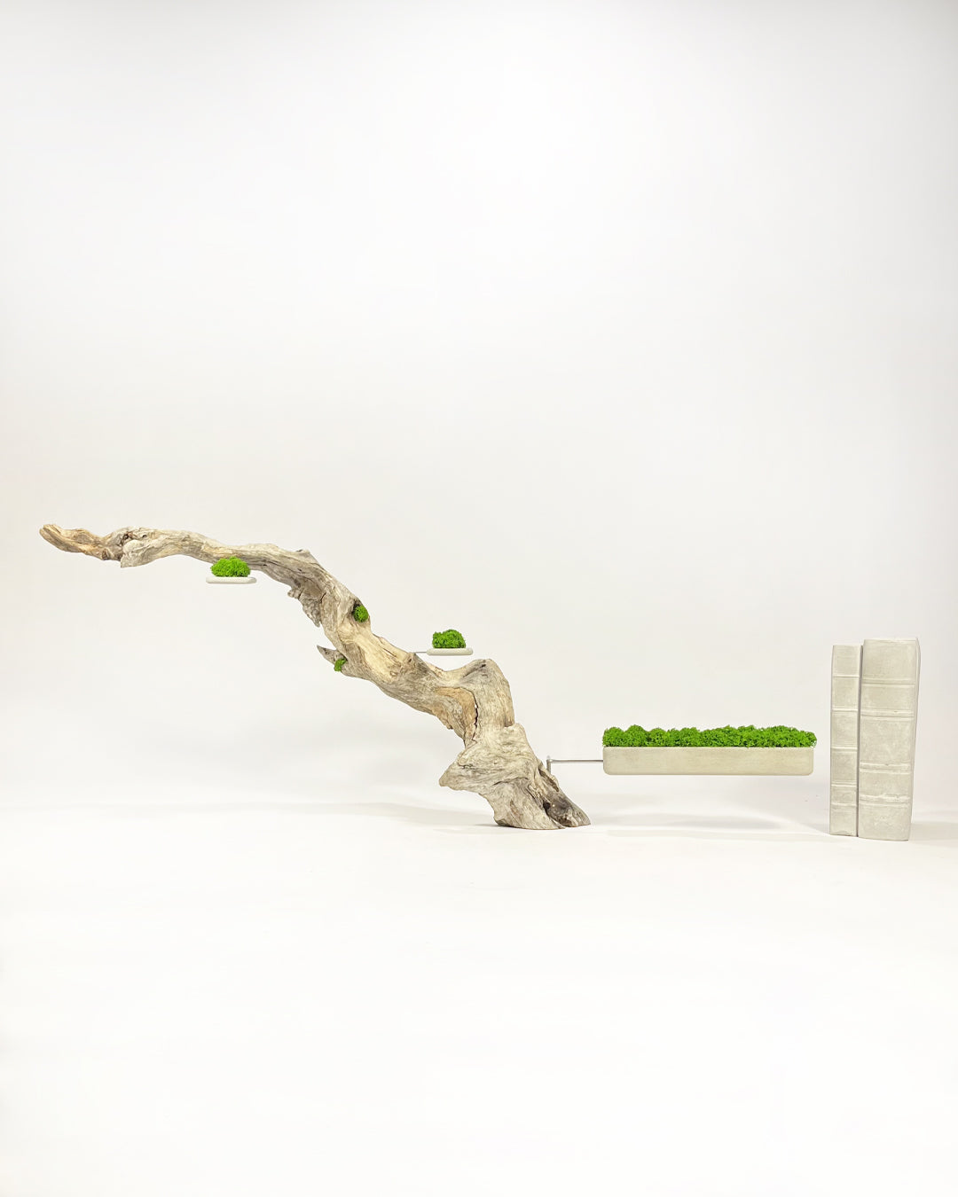 Disequilibrium in Equilibrium