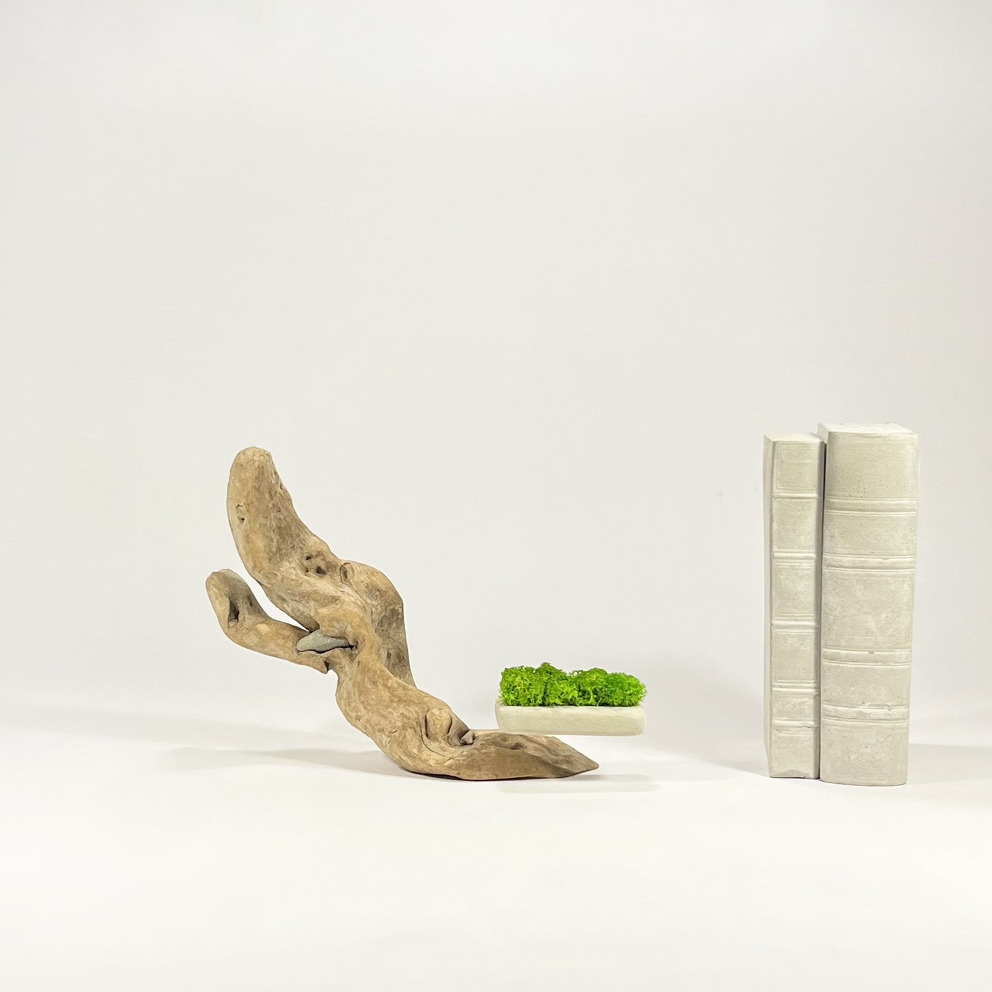Disequilibrio in Equilibrio