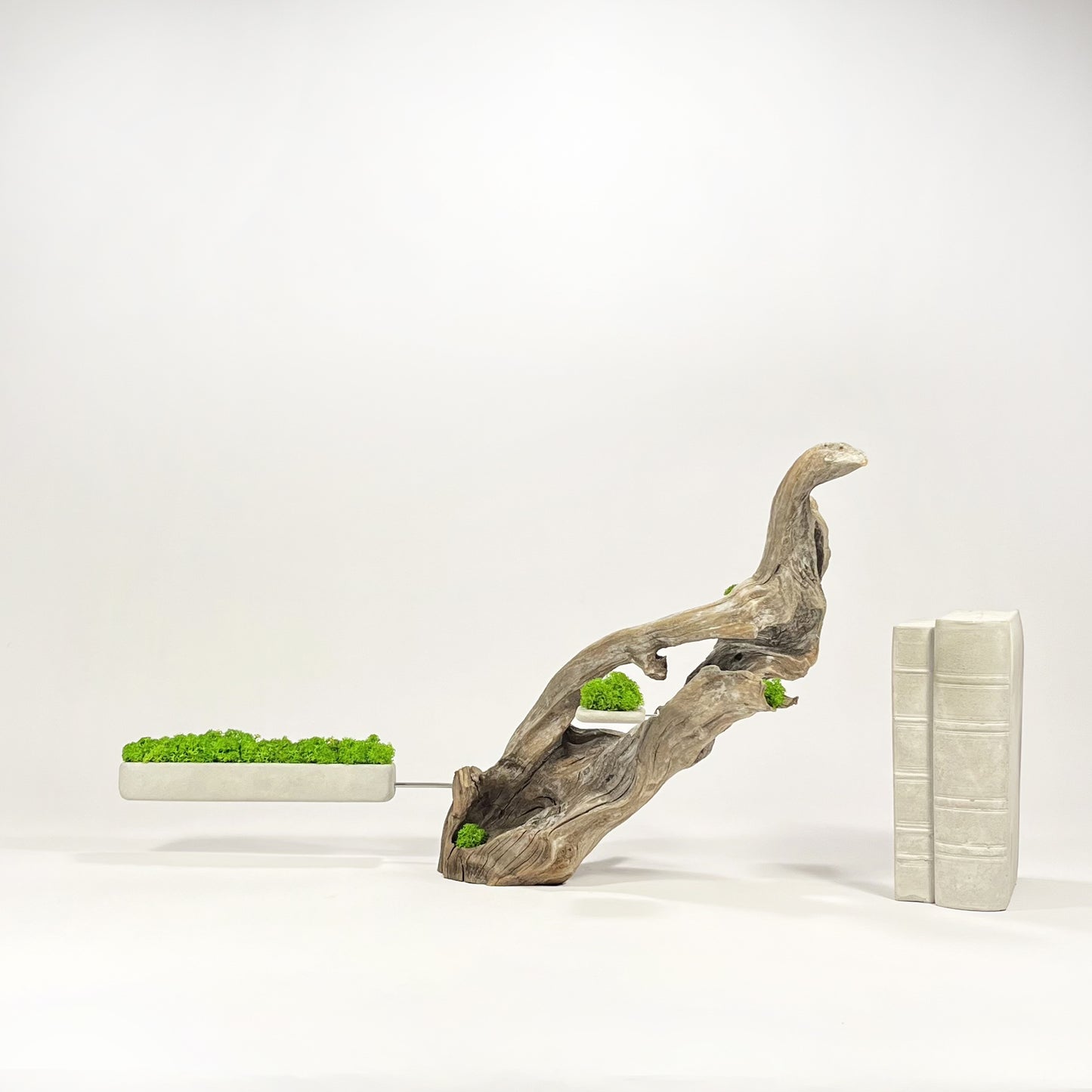 Disequilibrio in Equilibrio