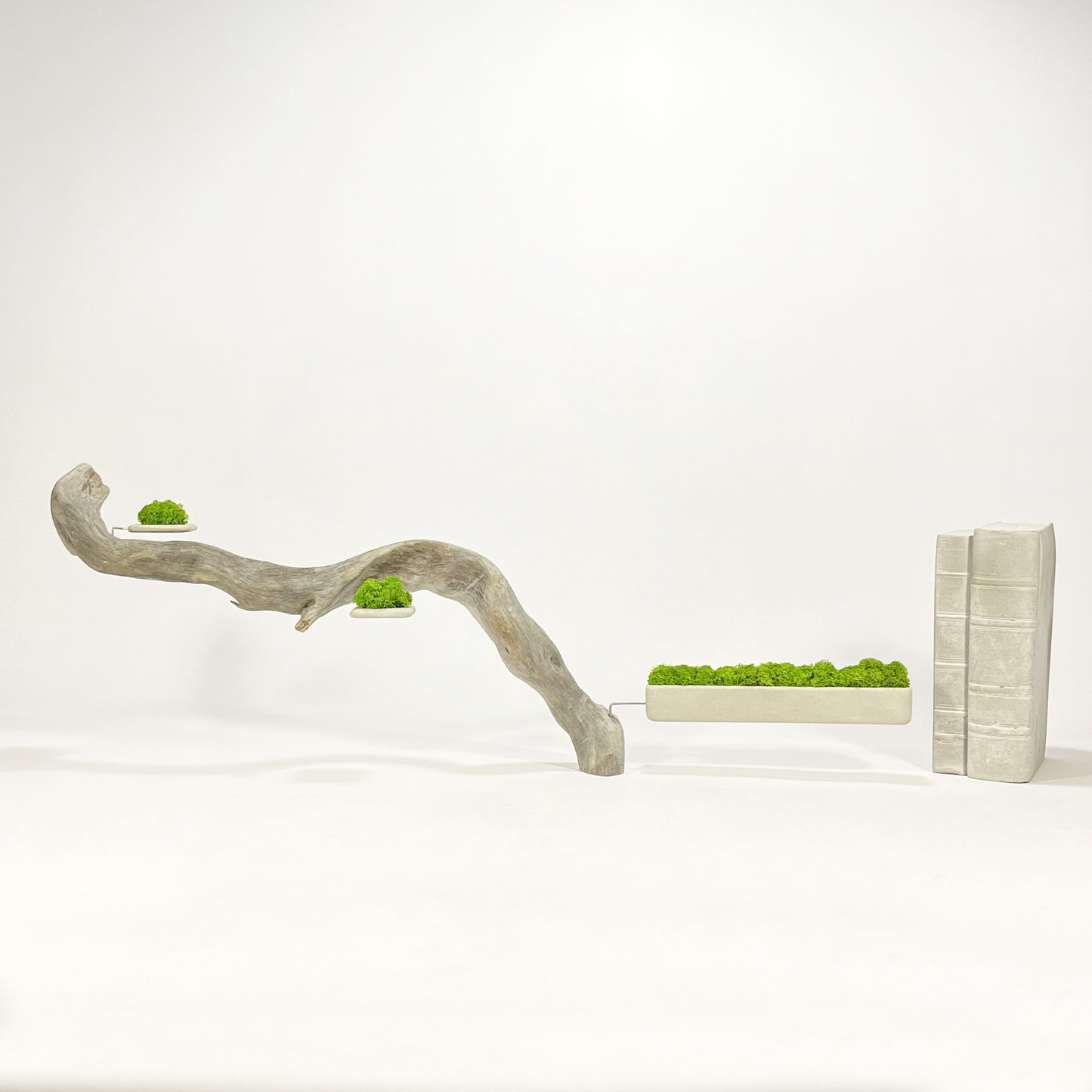 Disequilibrio in Equilibrio