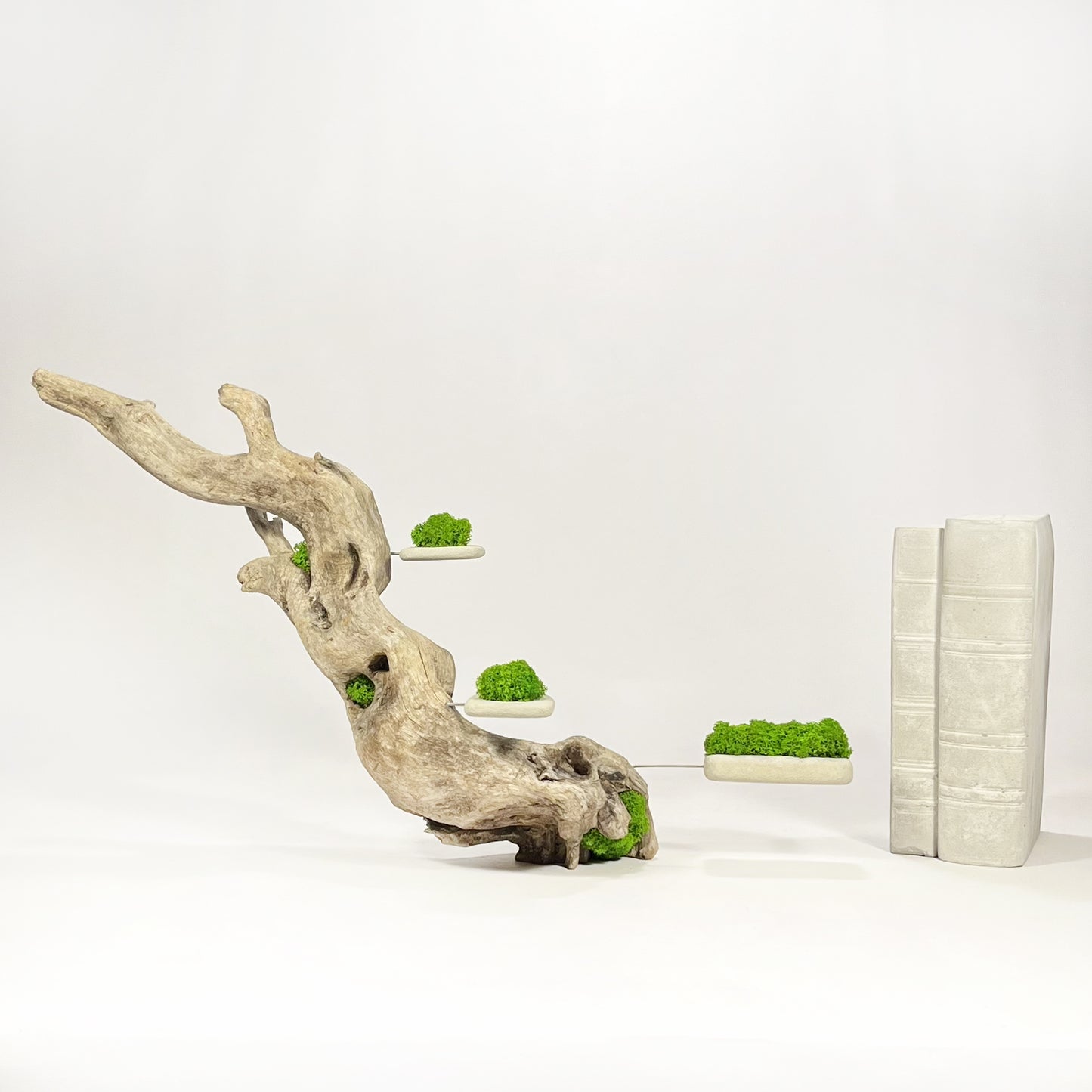 Disequilibrio in Equilibrio