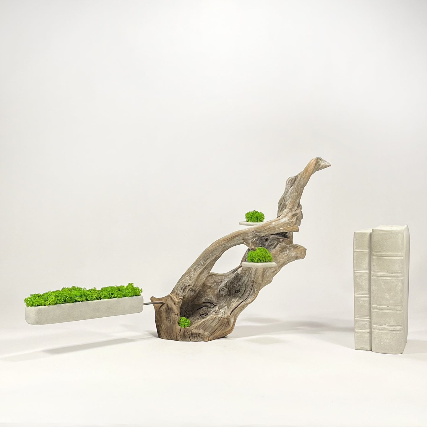 Disequilibrio in Equilibrio