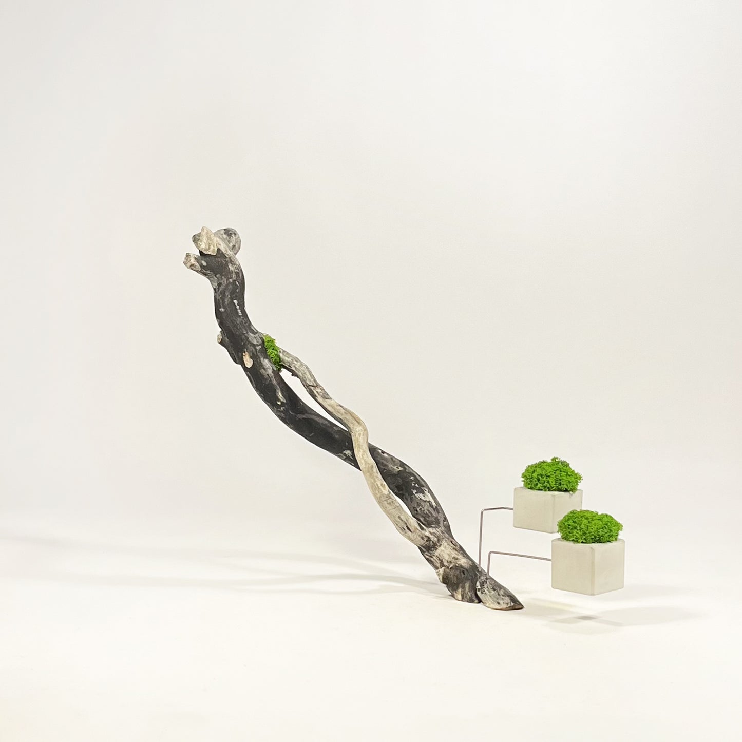 Disequilibrio in Equilibrio