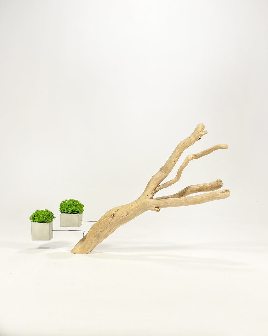Disequilibrio in Equilibrio