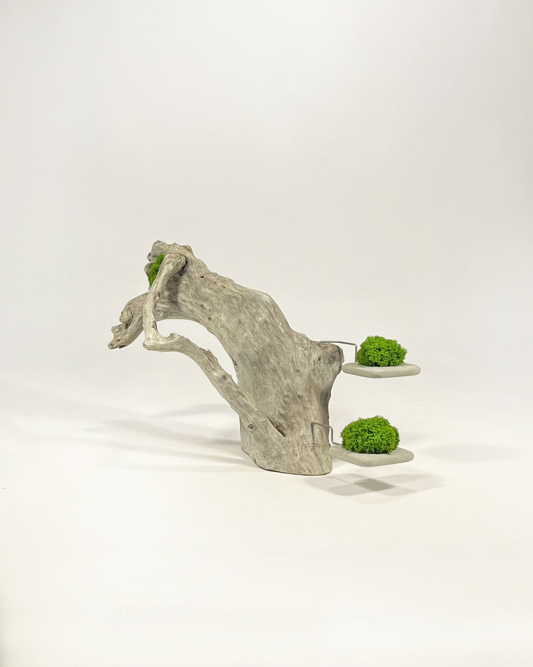 Disequilibrio in Equilibrio