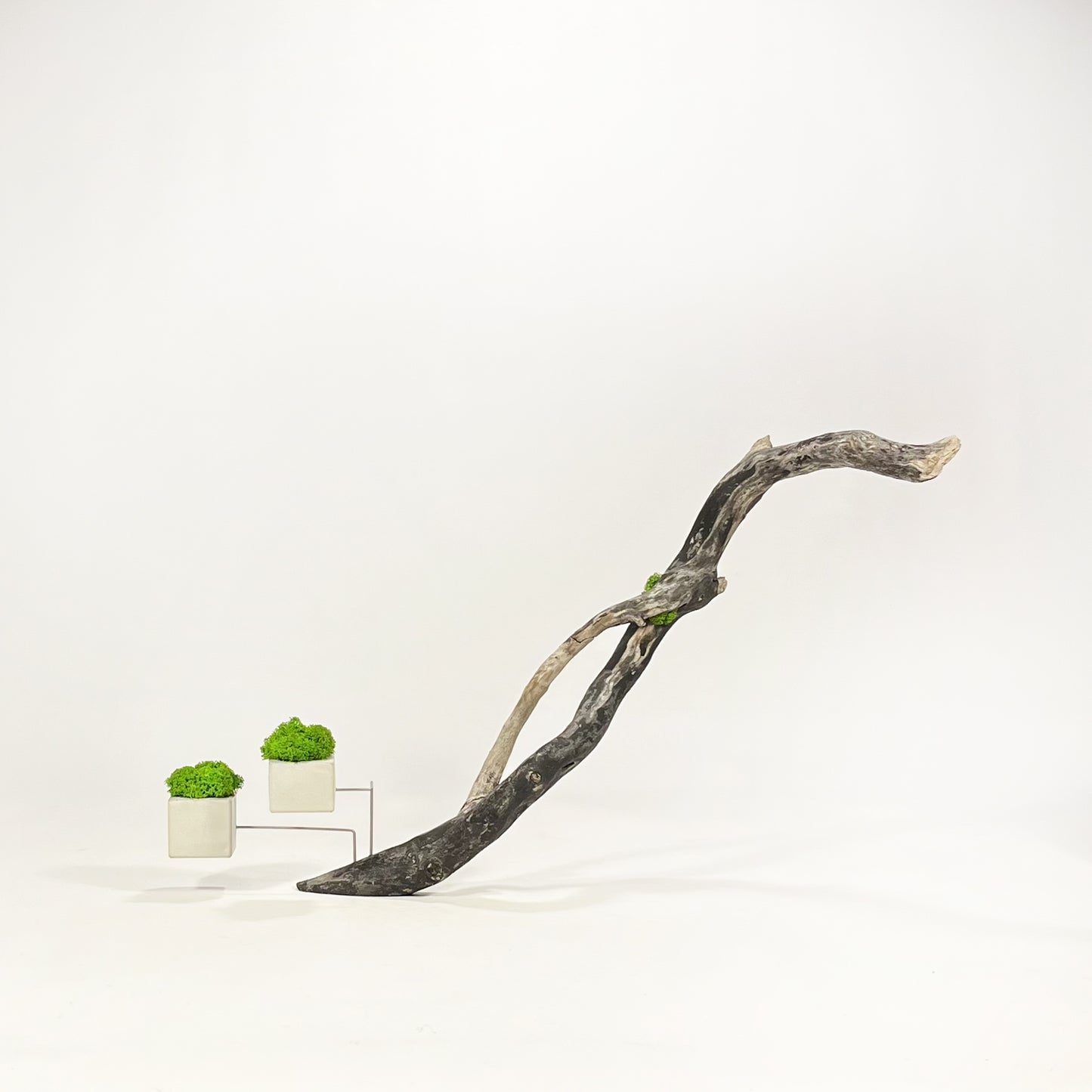 Disequilibrio in Equilibrio