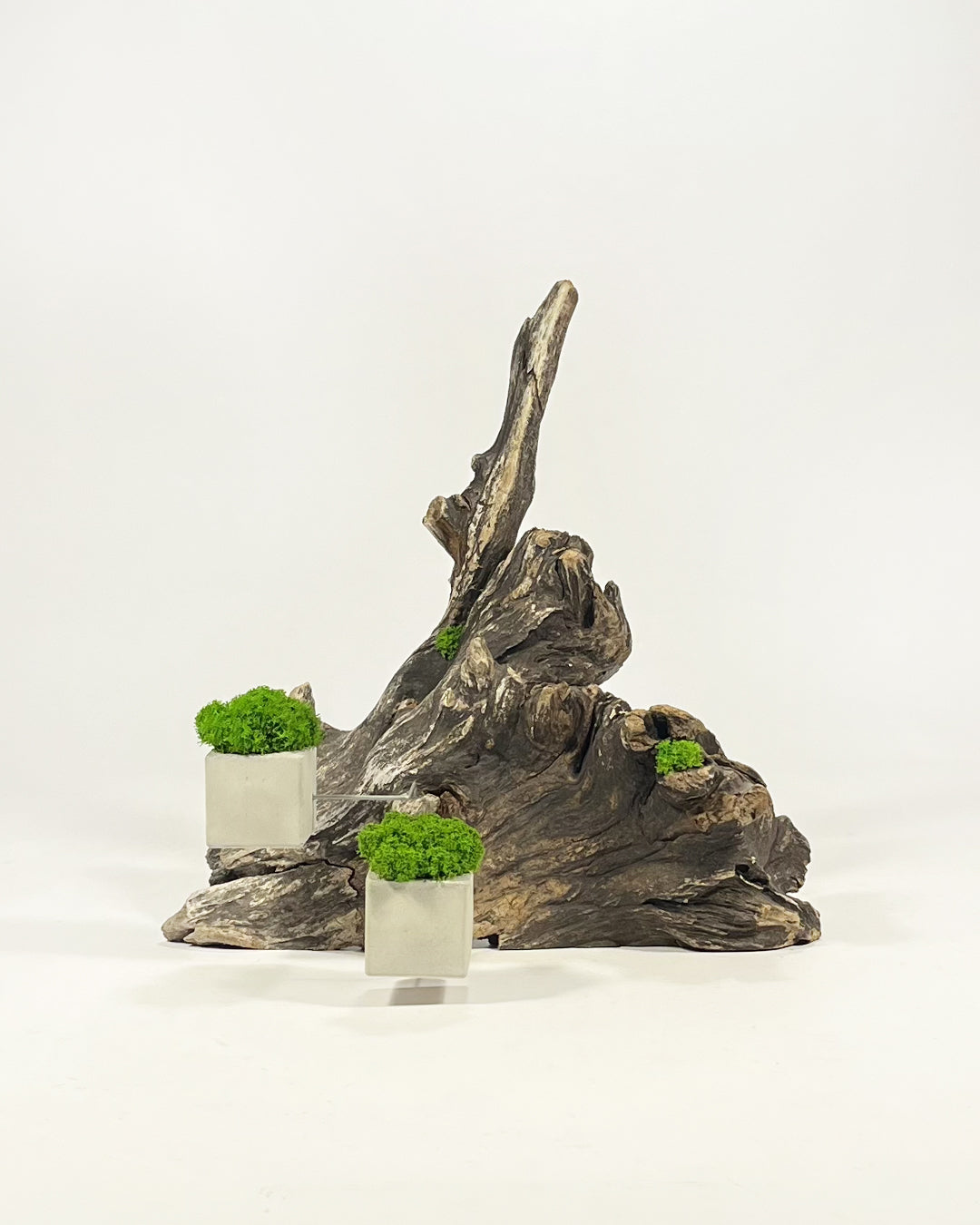 Disequilibrium in Equilibrium
