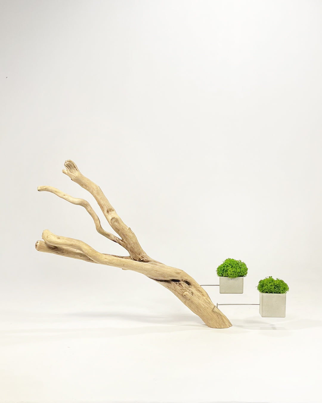 Disequilibrio in Equilibrio