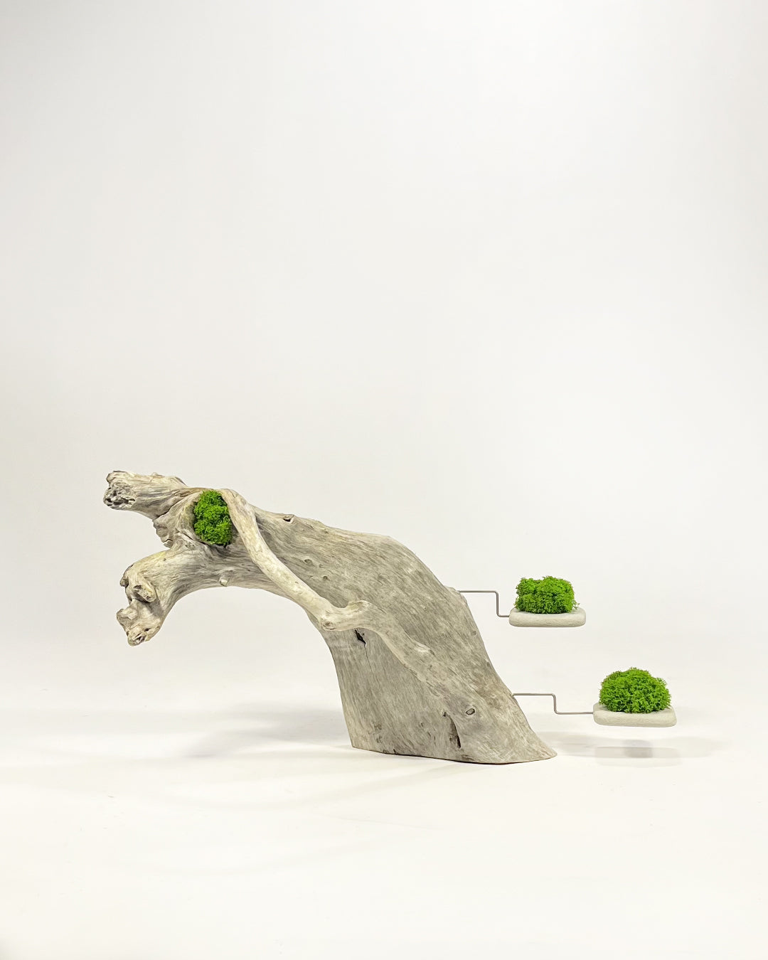 Disequilibrio in Equilibrio