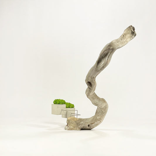 Disequilibrium in Equilibrium