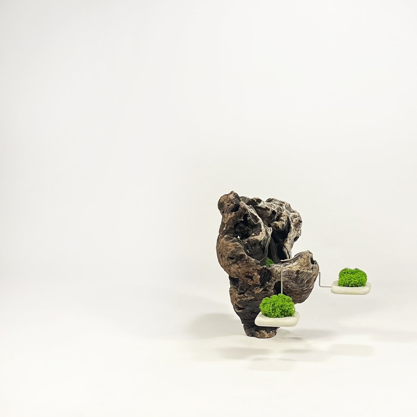 Disequilibrio in Equilibrio