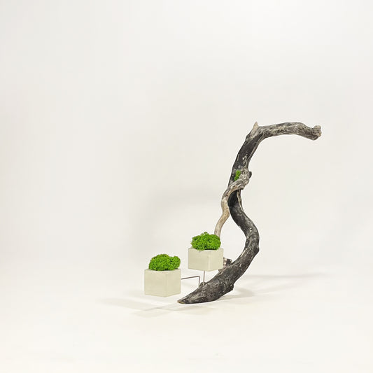 Disequilibrium in Equilibrium