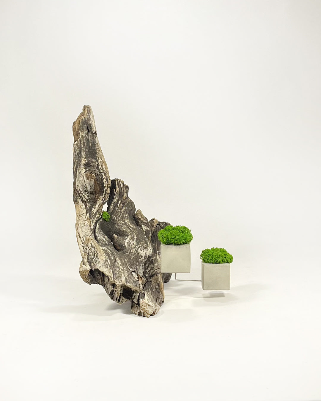 Disequilibrium in Equilibrium
