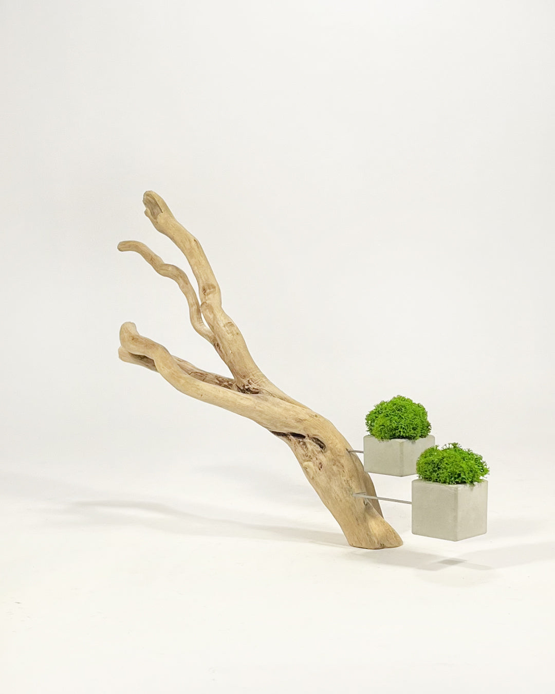 Disequilibrio in Equilibrio