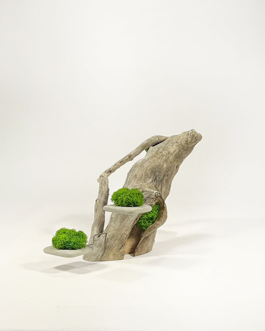 Disequilibrio in Equilibrio