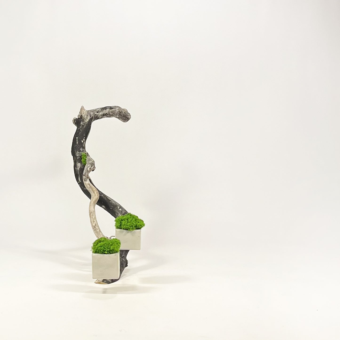Disequilibrio in Equilibrio