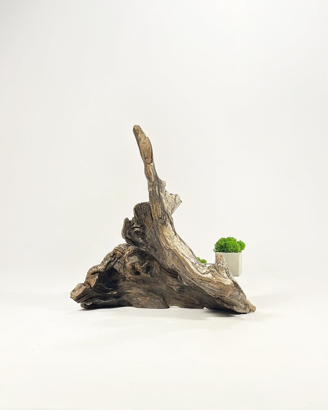 Disequilibrium in Equilibrium