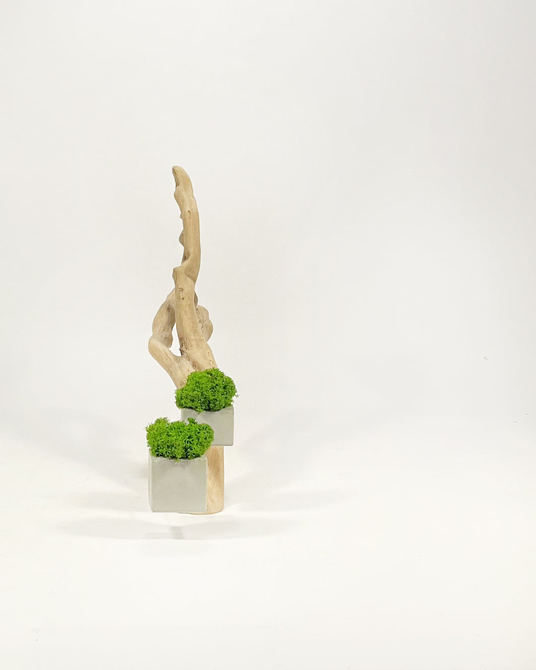 Disequilibrio in Equilibrio