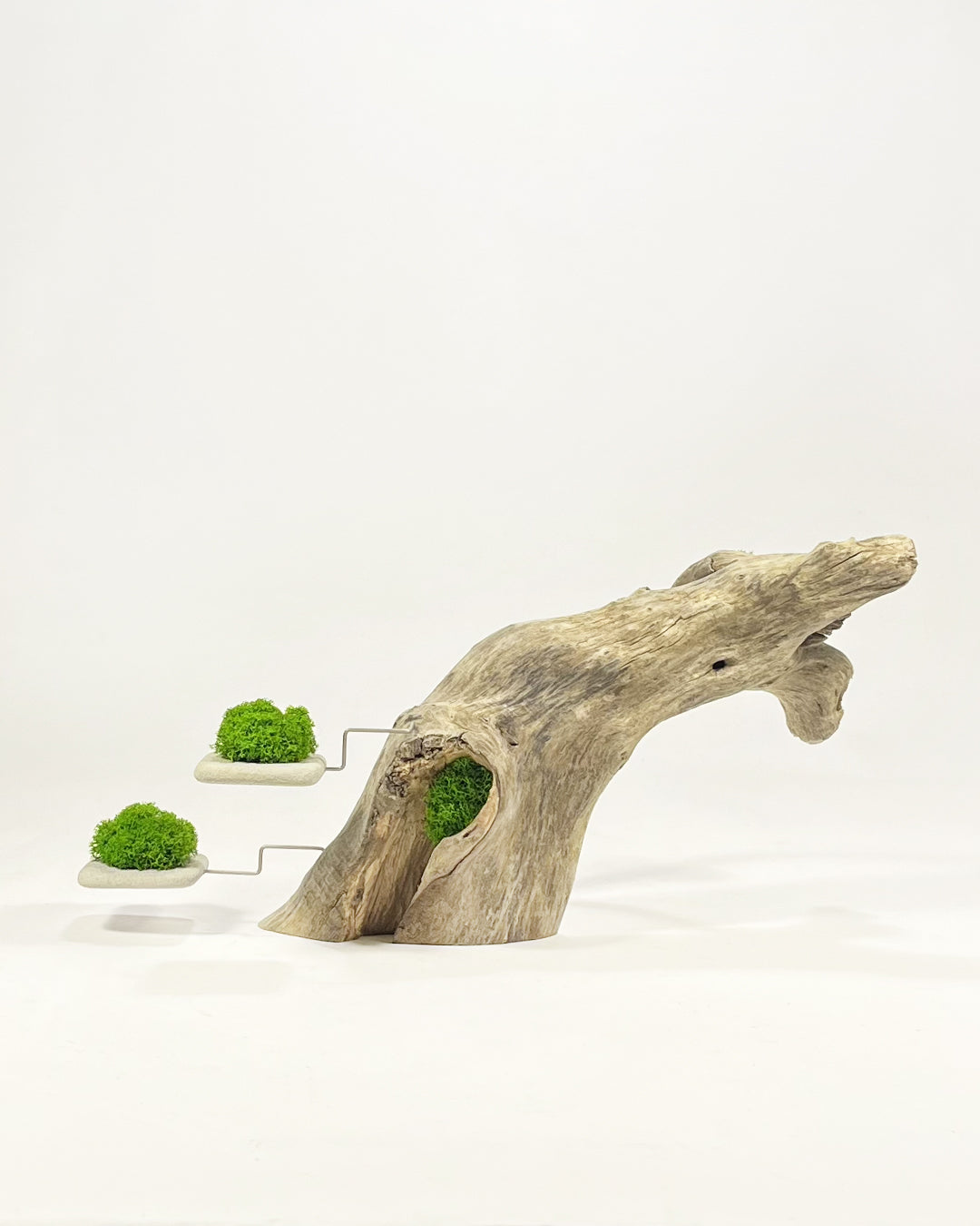 Disequilibrio in Equilibrio