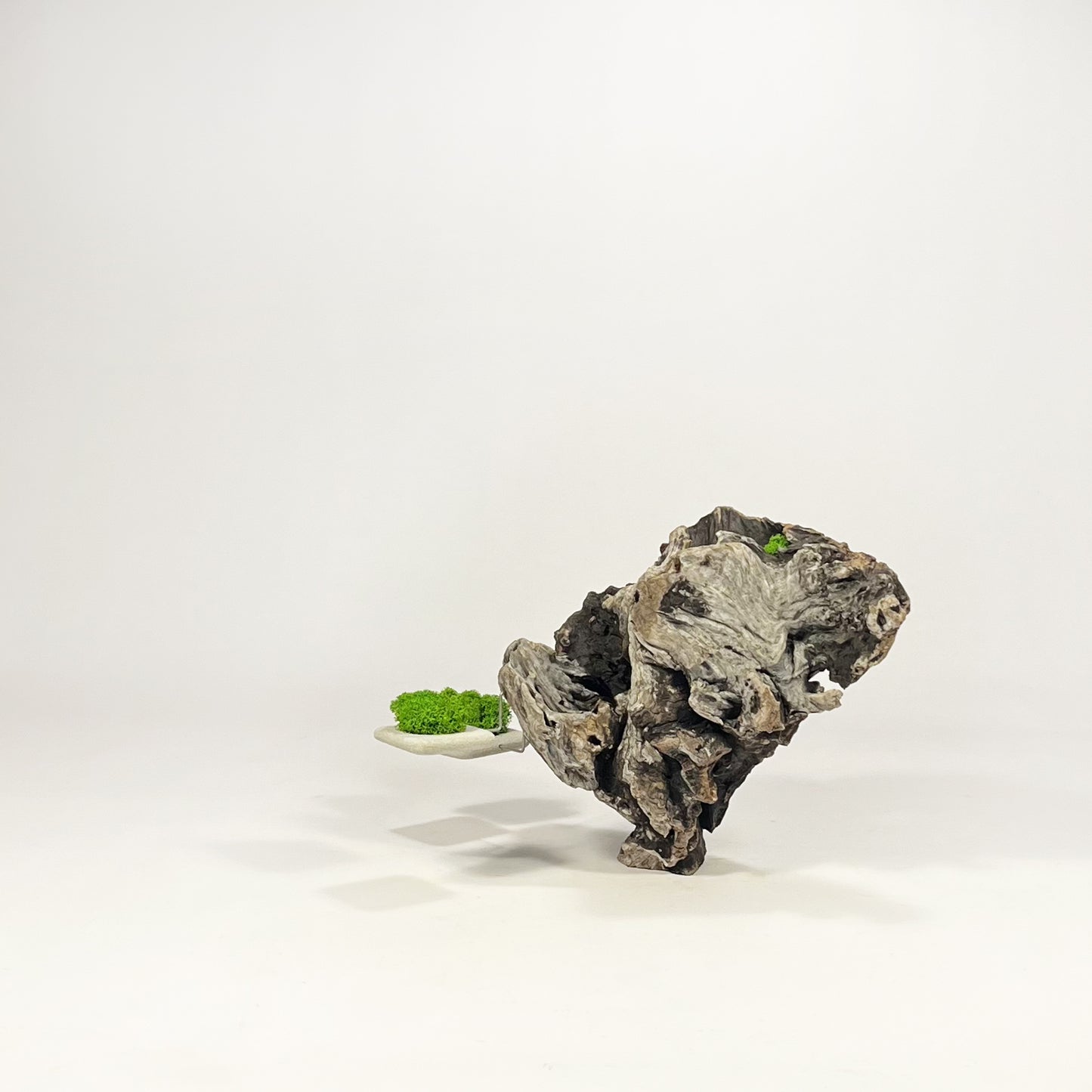 Disequilibrio in Equilibrio